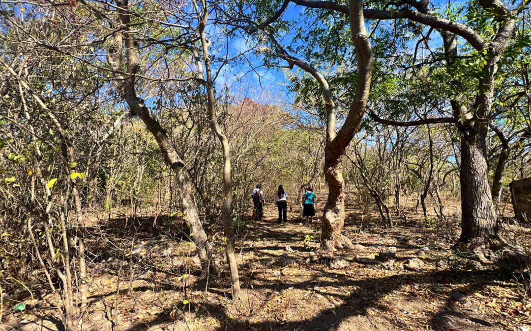 Growing More Than Food in El Cristal, Nicaragua