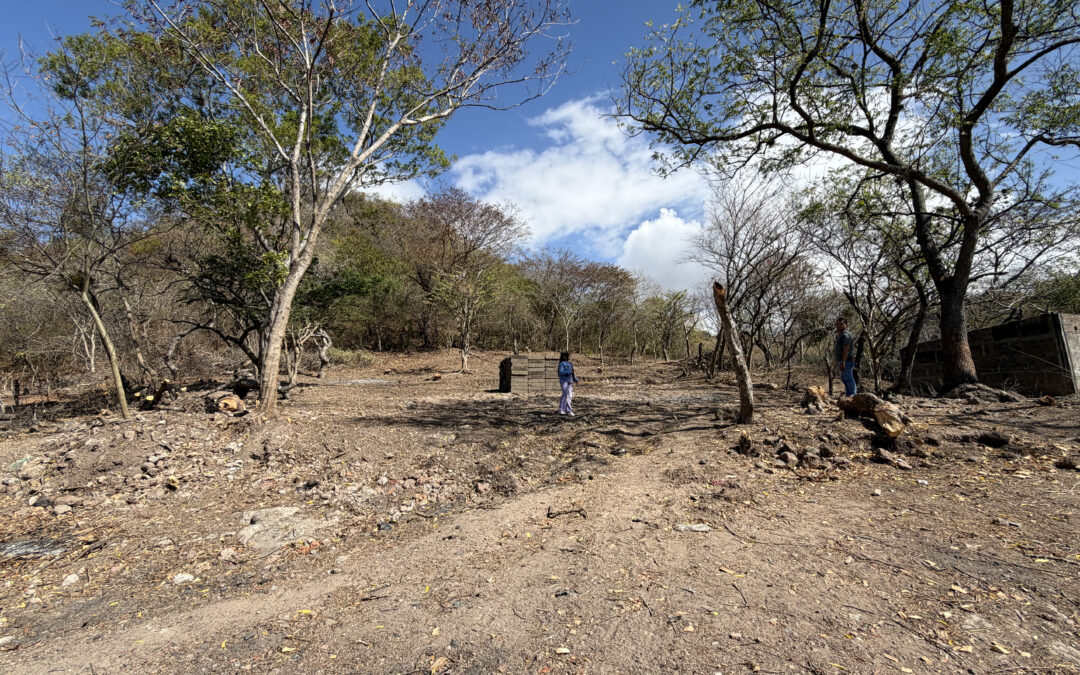 El Cristal Community Feeding Center